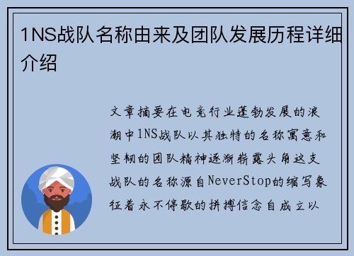 1NS战队名称由来及团队发展历程详细介绍