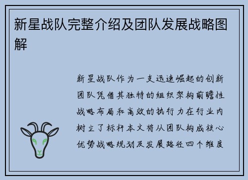 新星战队完整介绍及团队发展战略图解